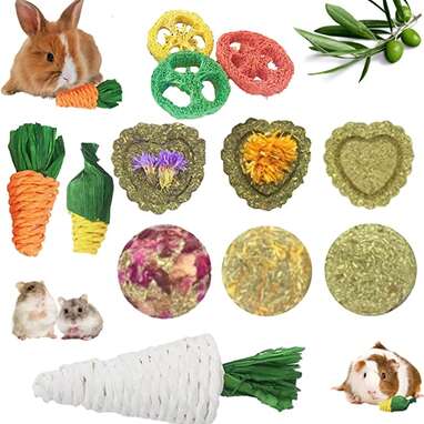 best rabbit toys for chewing